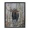 Stupell Industries Moose in Winter Birch Forest Floating Frame, design by James Corwin